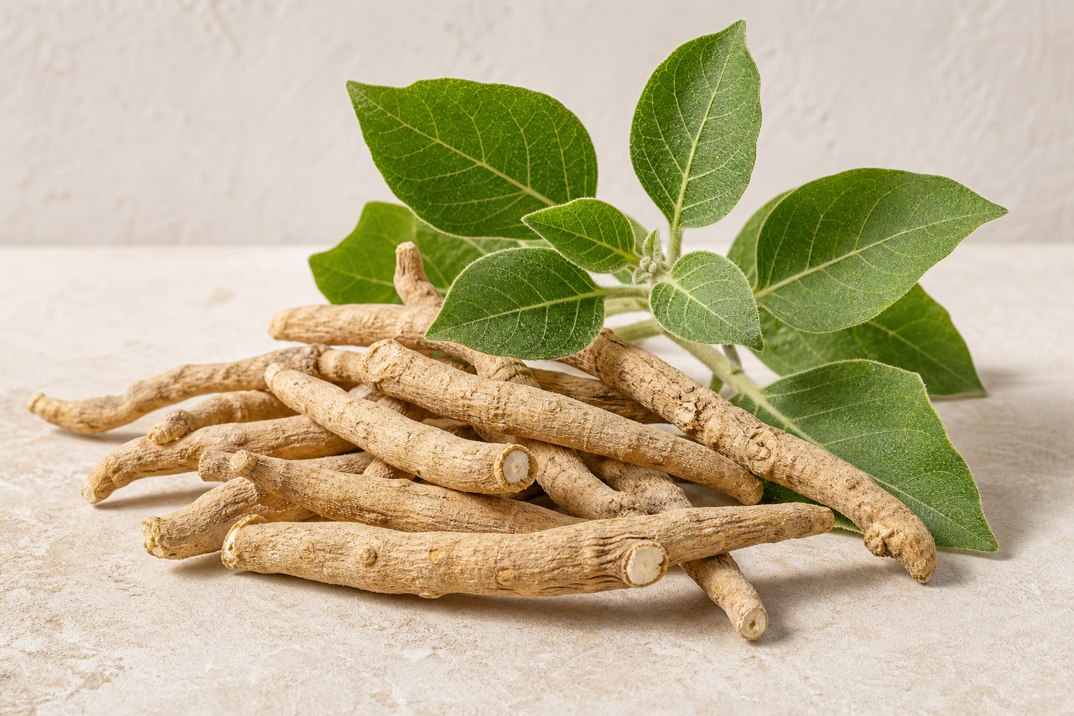 Ashwagandha roots, sliced root and leaves
